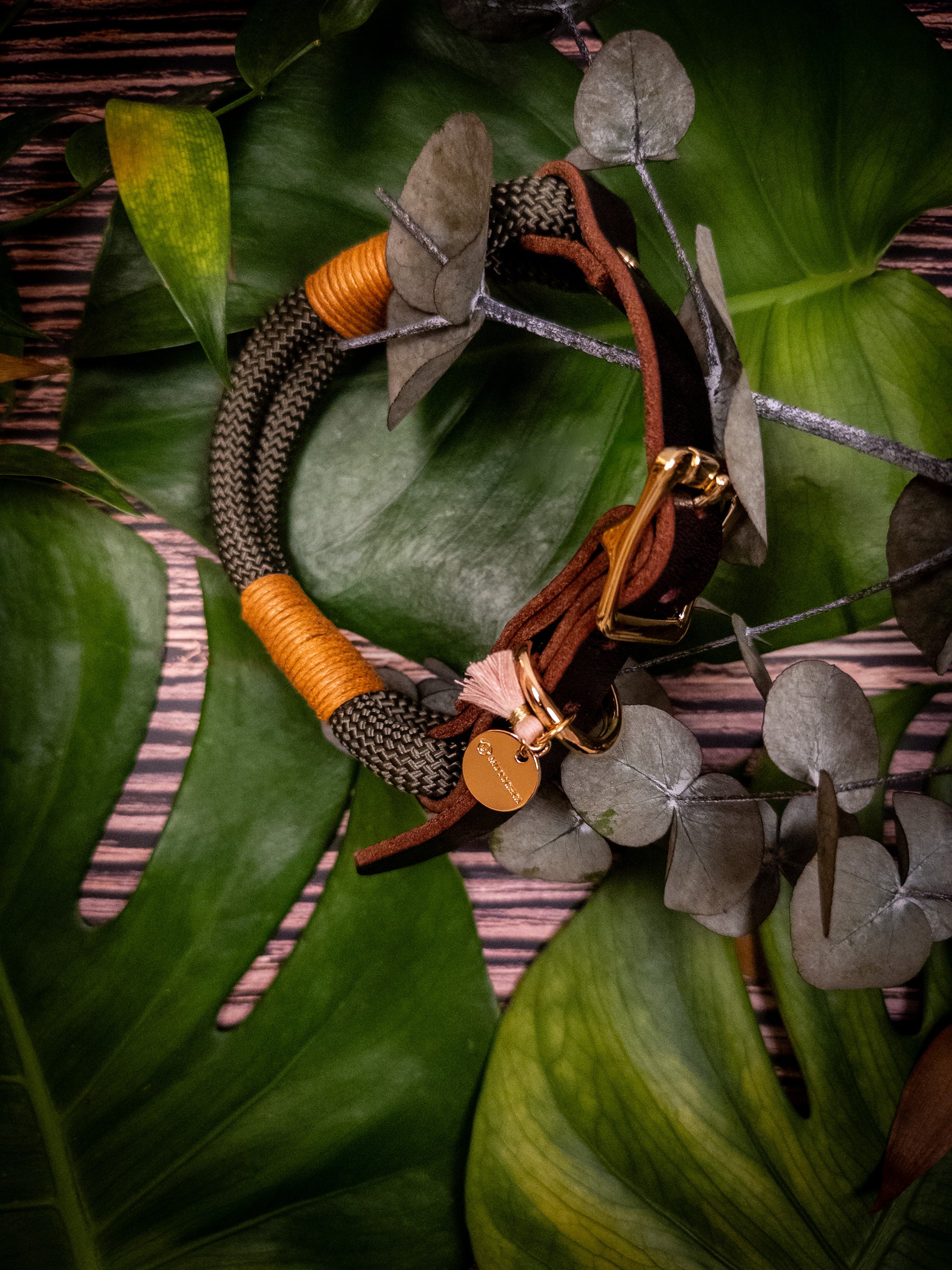 Premium dog collar in olive green with leather strap.