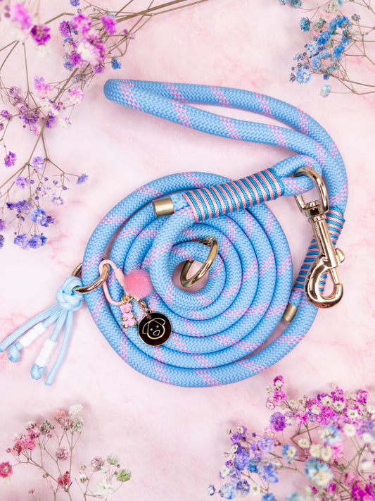 Premium rope dog leash. Luxury dog accessories.