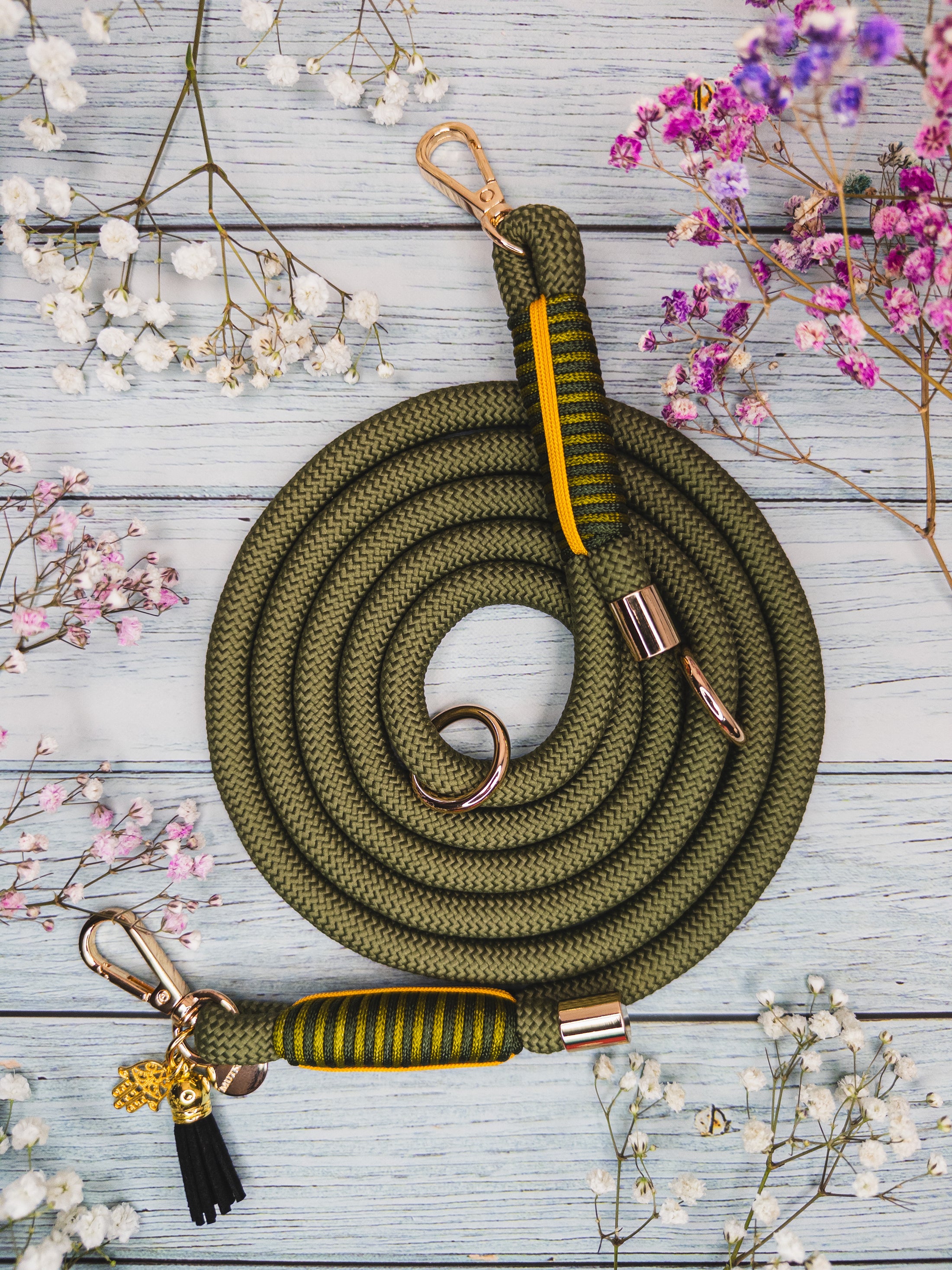 Rope leash for puppies and smaller dogs.