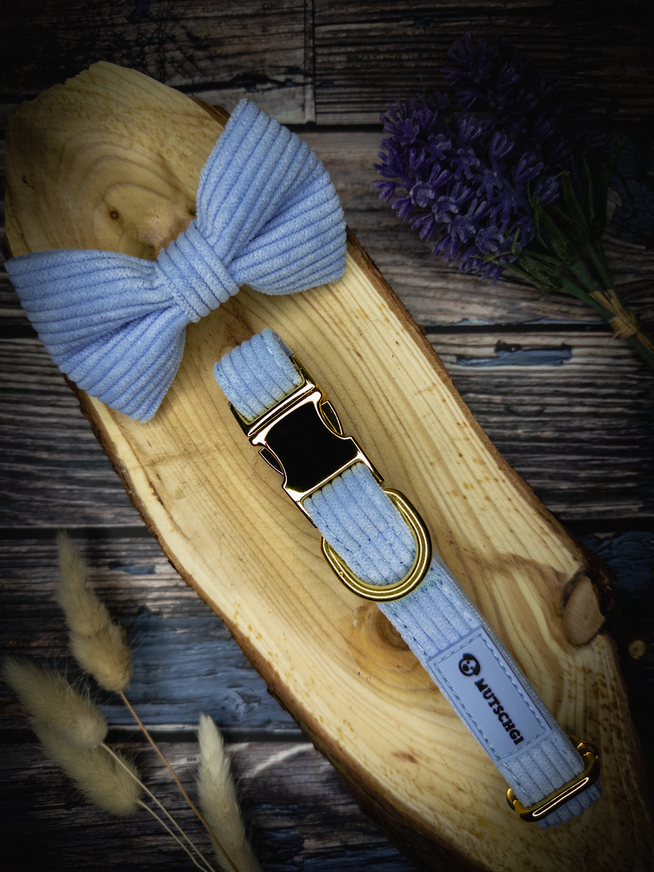 Premium dog collar in baby blue with a bowtie.