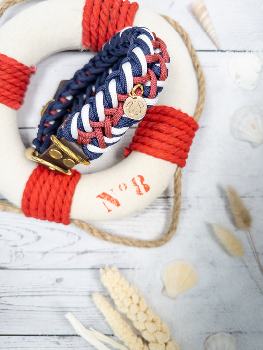 Luxus Halsband für Hunde aus Premium Paracord und Leder.