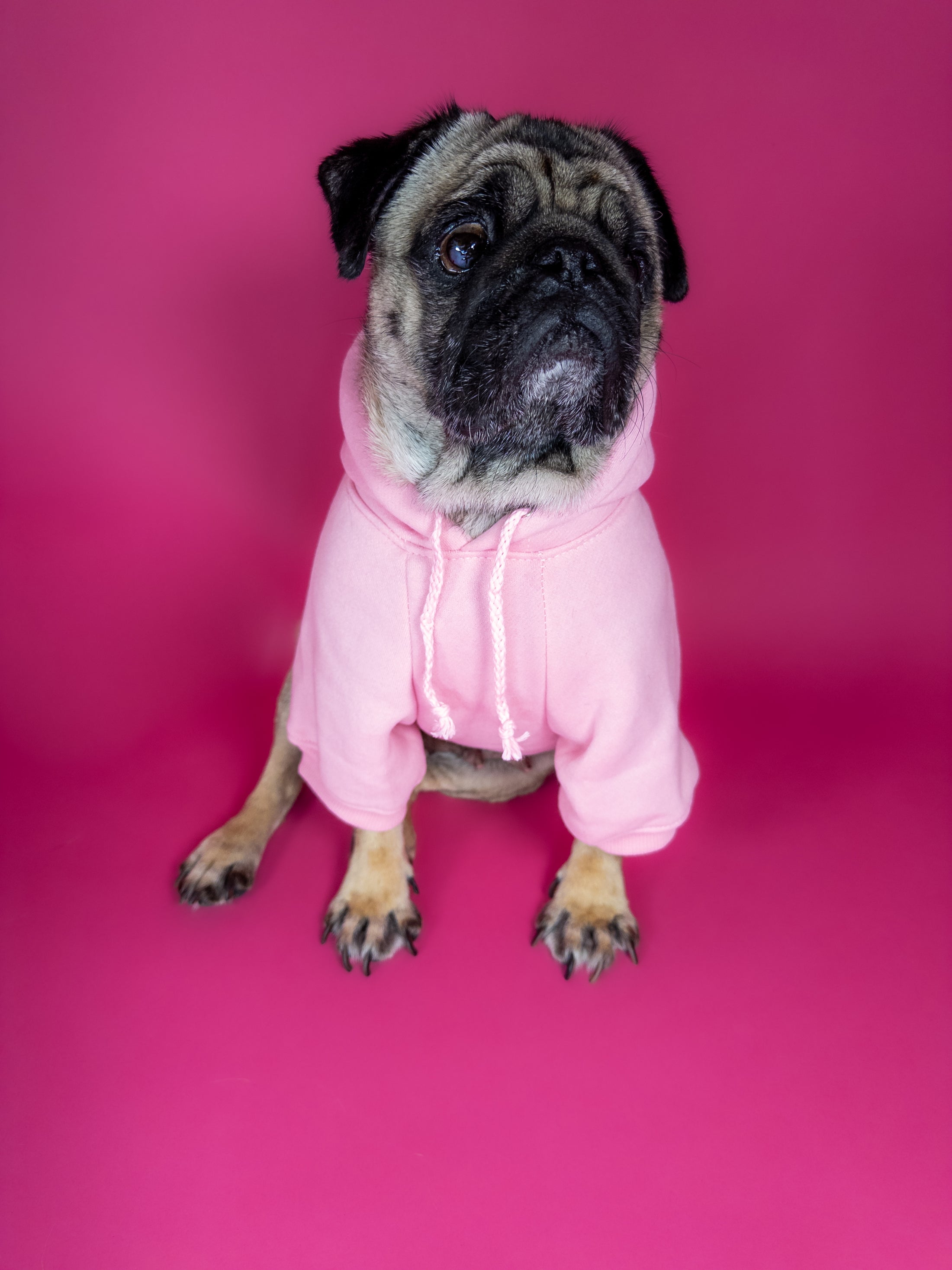 Cozy dog hoodie in pink. Luxury dog accessories.