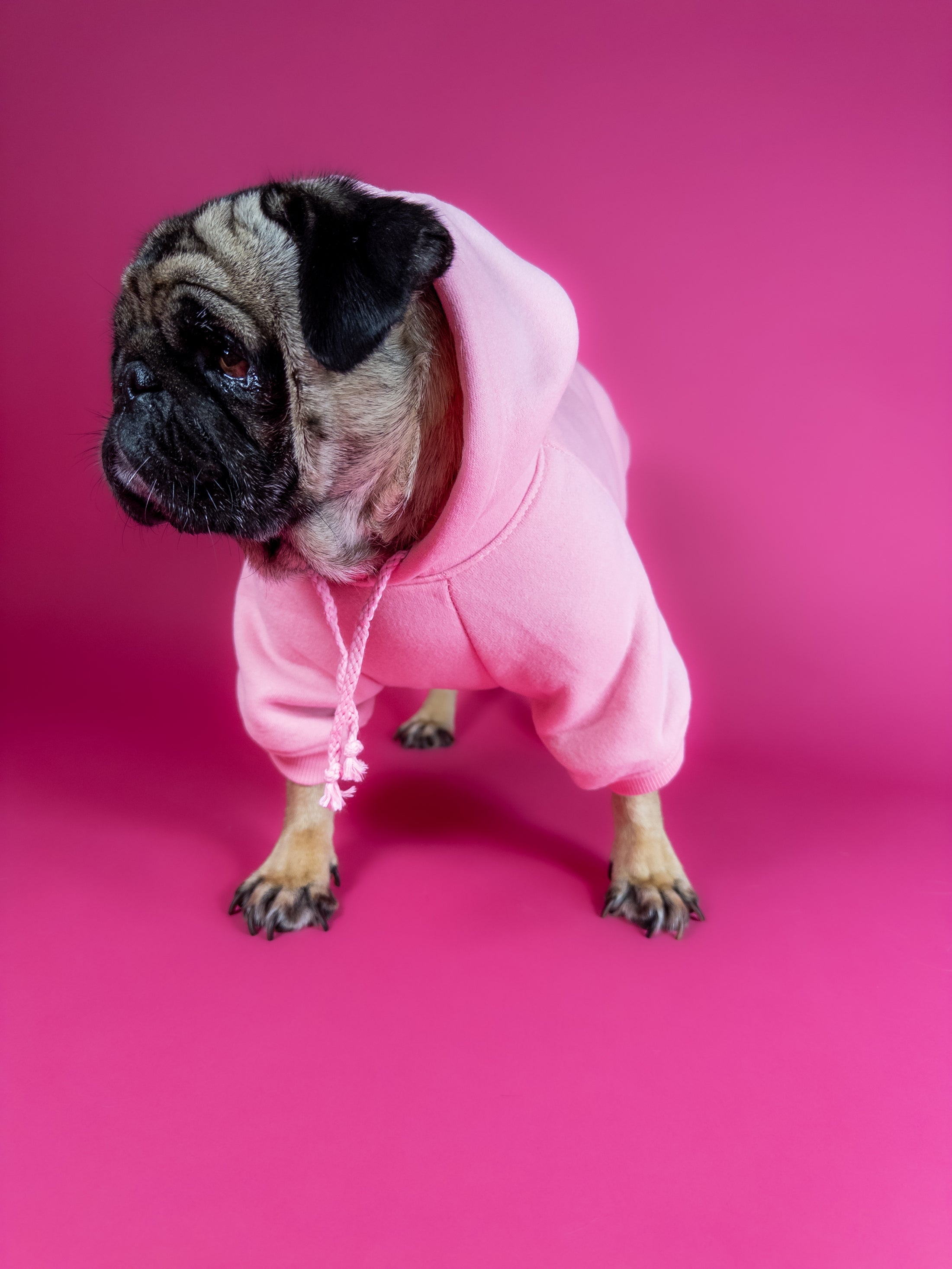 Cozy dog hoodie in pink. Luxury dog accessories.