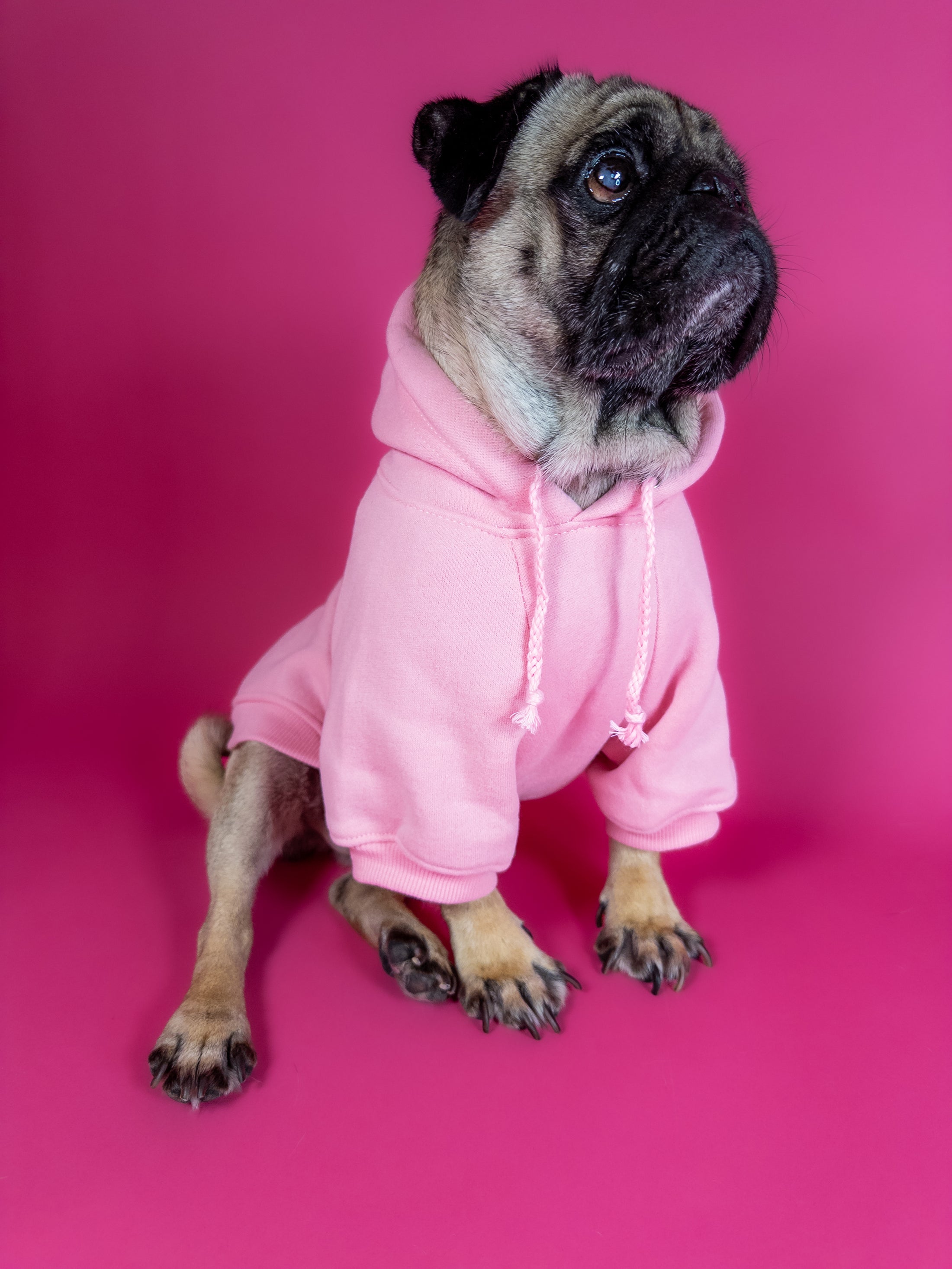 Cozy dog hoodie in pink. Luxury dog accessories.