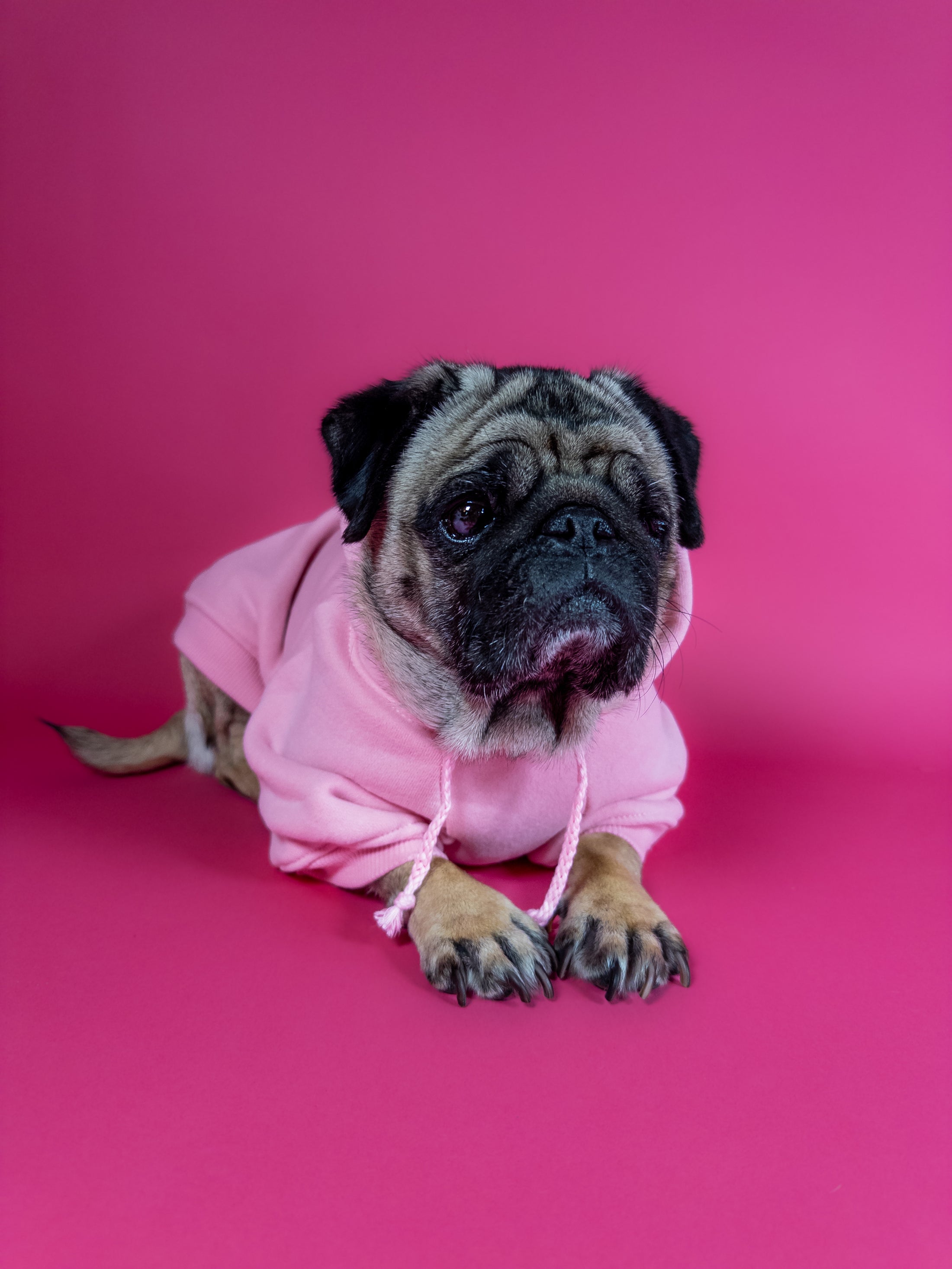 Cozy dog hoodie in pink. Luxury dog accessories.