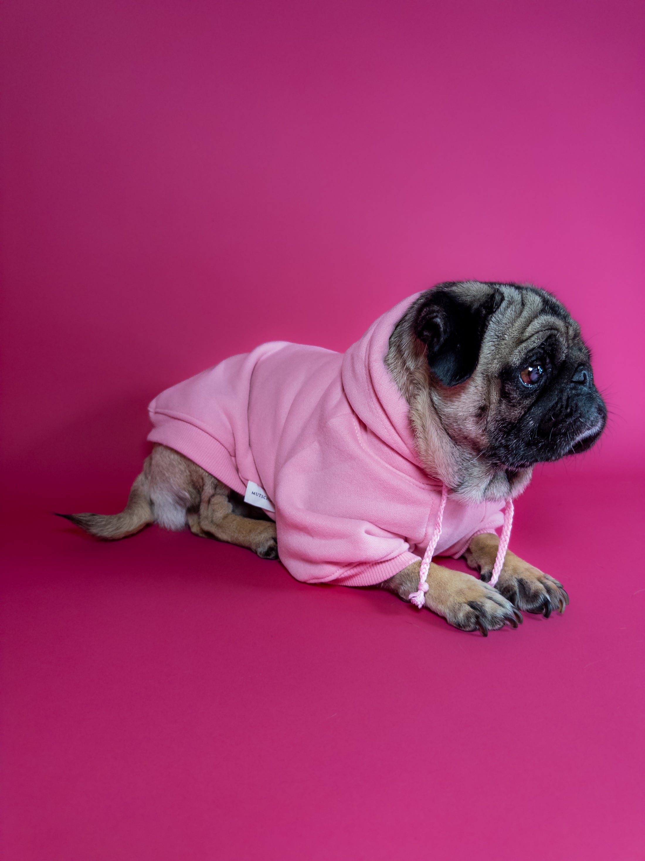 Cozy dog hoodie in pink. Luxury dog accessories.