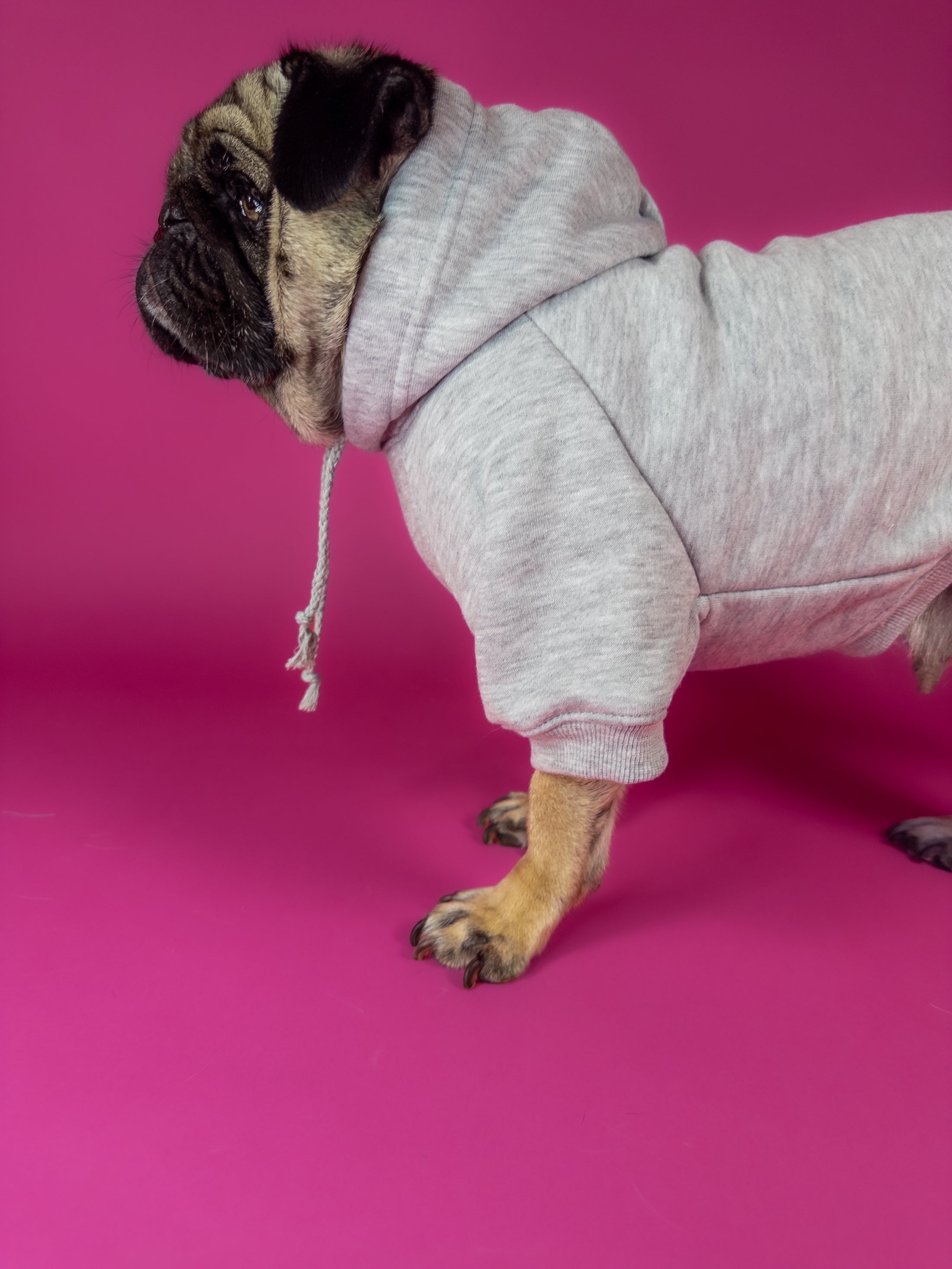 Dog clothing. Dog hoodie.