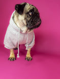 Bild in Galerie-Betrachter laden, Dog clothing. Dog hoodie.
