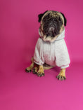 Bild in Galerie-Betrachter laden, Dog clothing. Dog hoodie.
