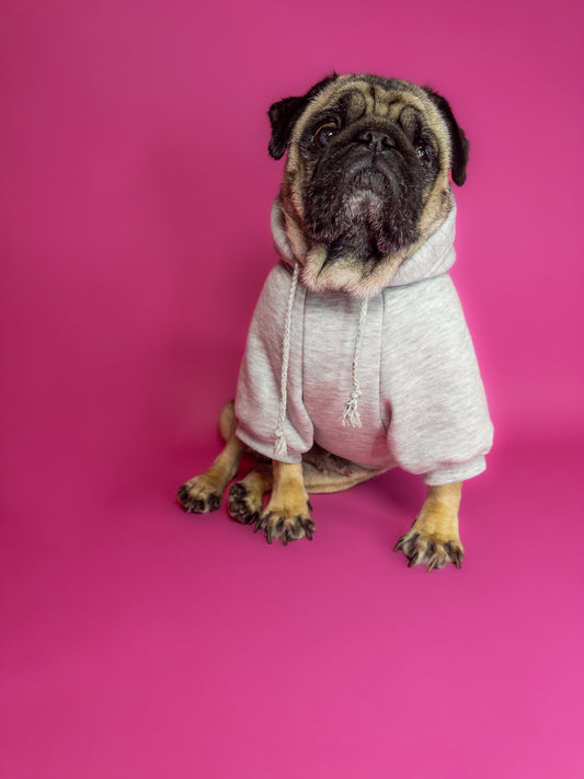 Dog clothing. Dog hoodie.