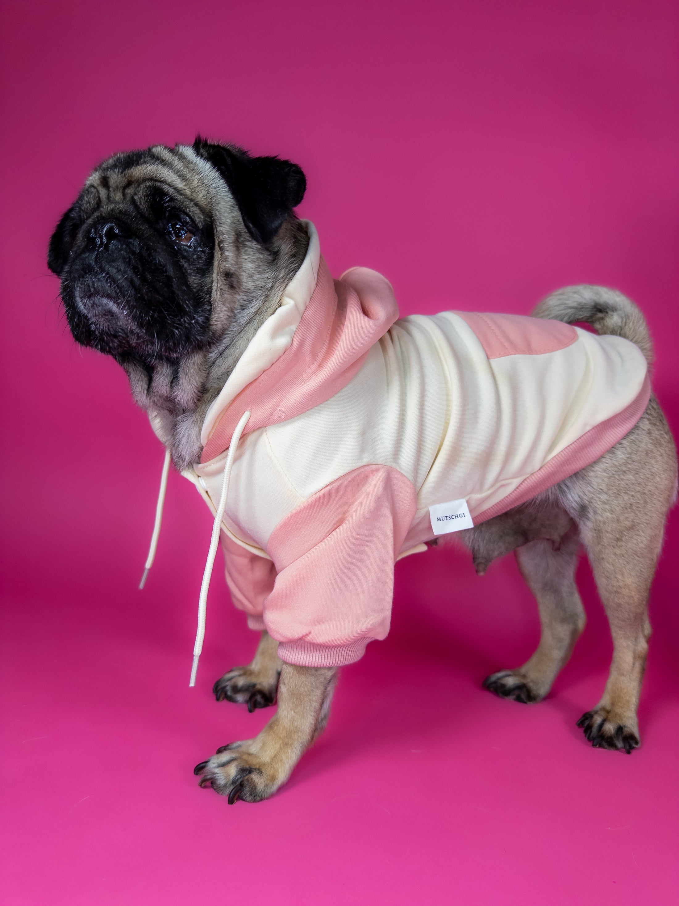 Premium dog hoodie in pink. Luxury dog accessories.