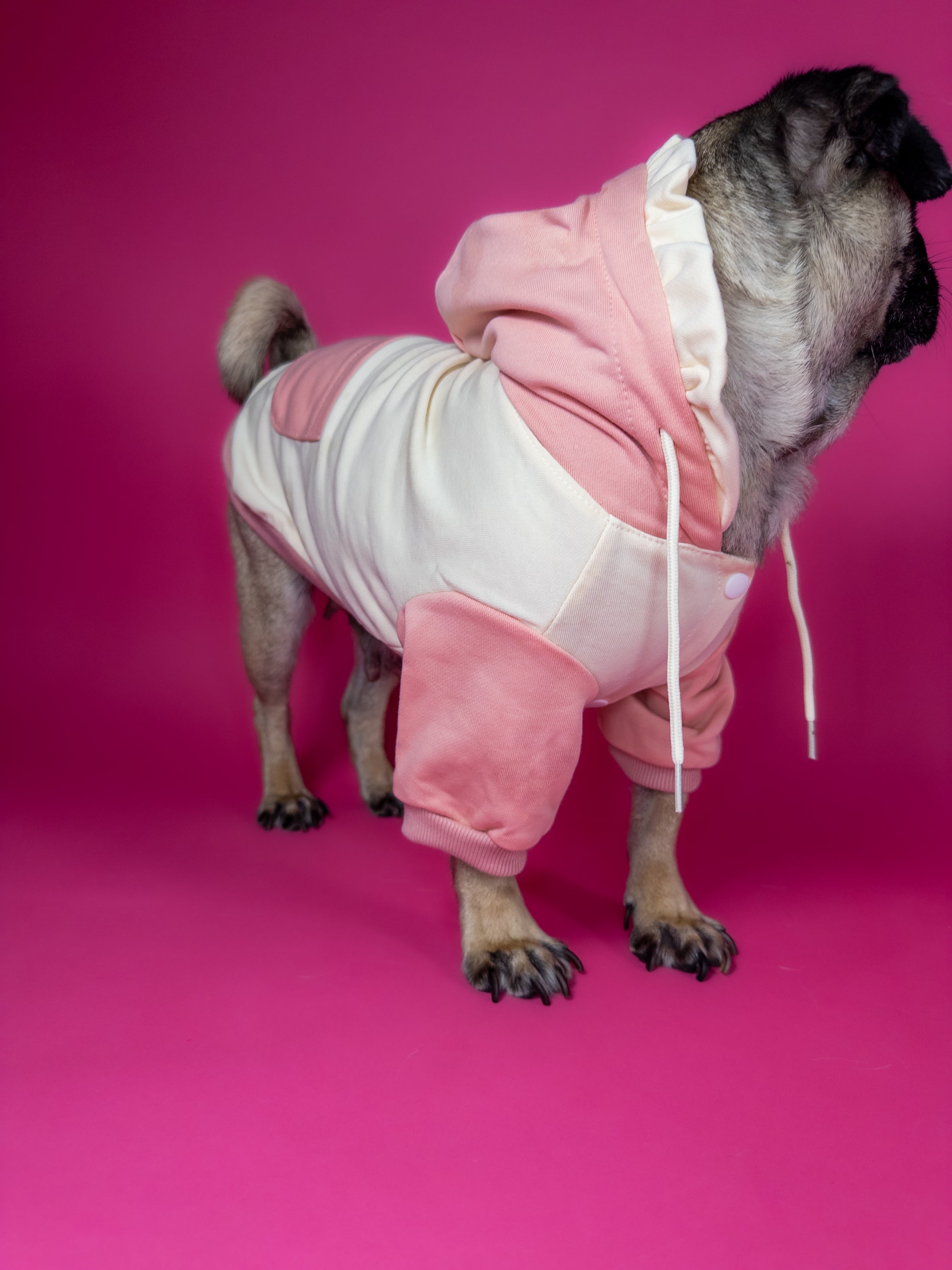 Premium dog hoodie in pink. Luxury dog accessories.