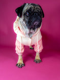 Bild in Galerie-Betrachter laden, Premium dog hoodie in pink. Luxury dog accessories.
