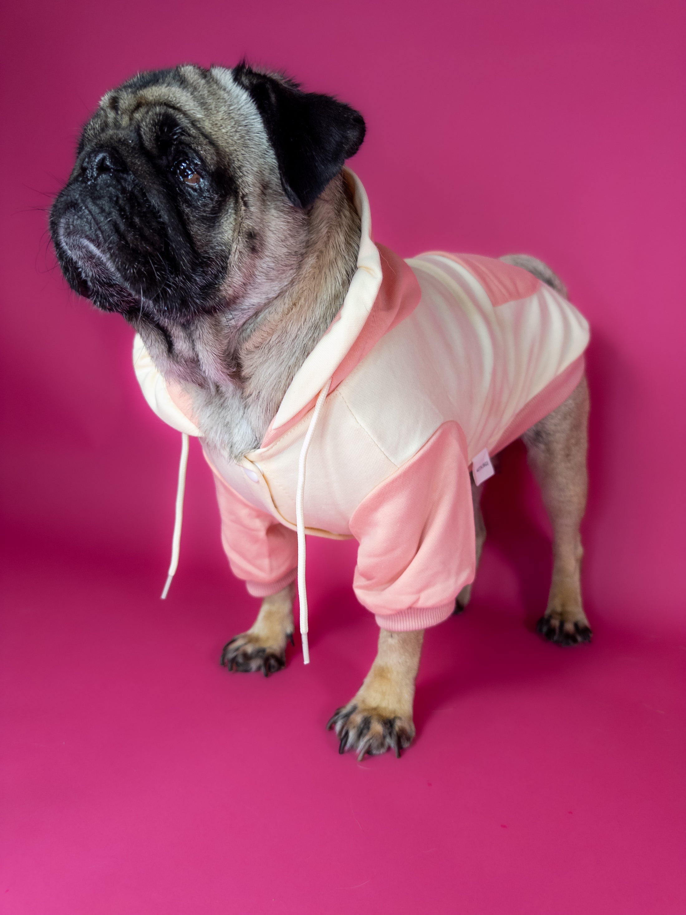 Premium dog hoodie in pink. Luxury dog accessories.