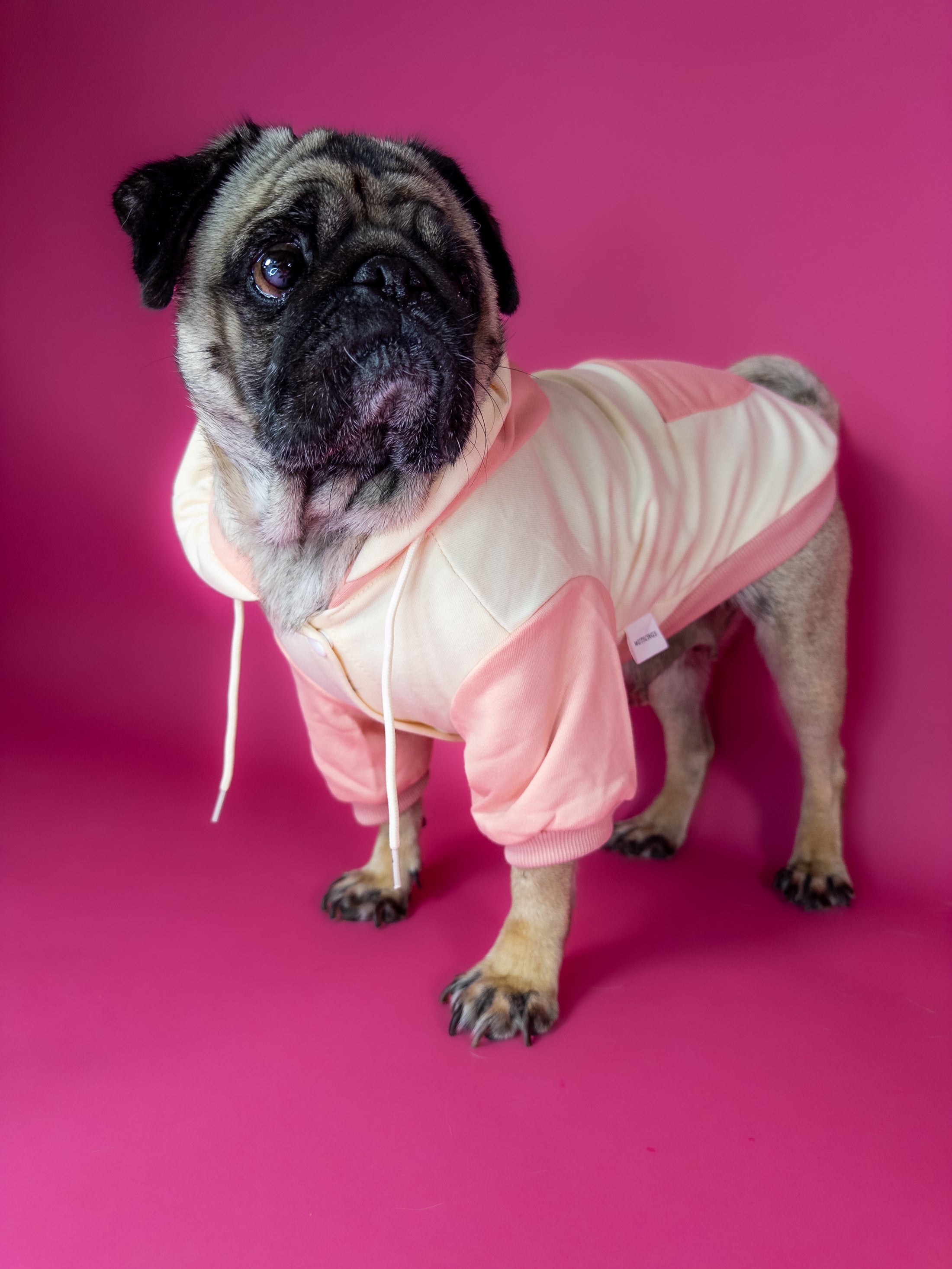 Premium dog hoodie in pink. Luxury dog accessories.