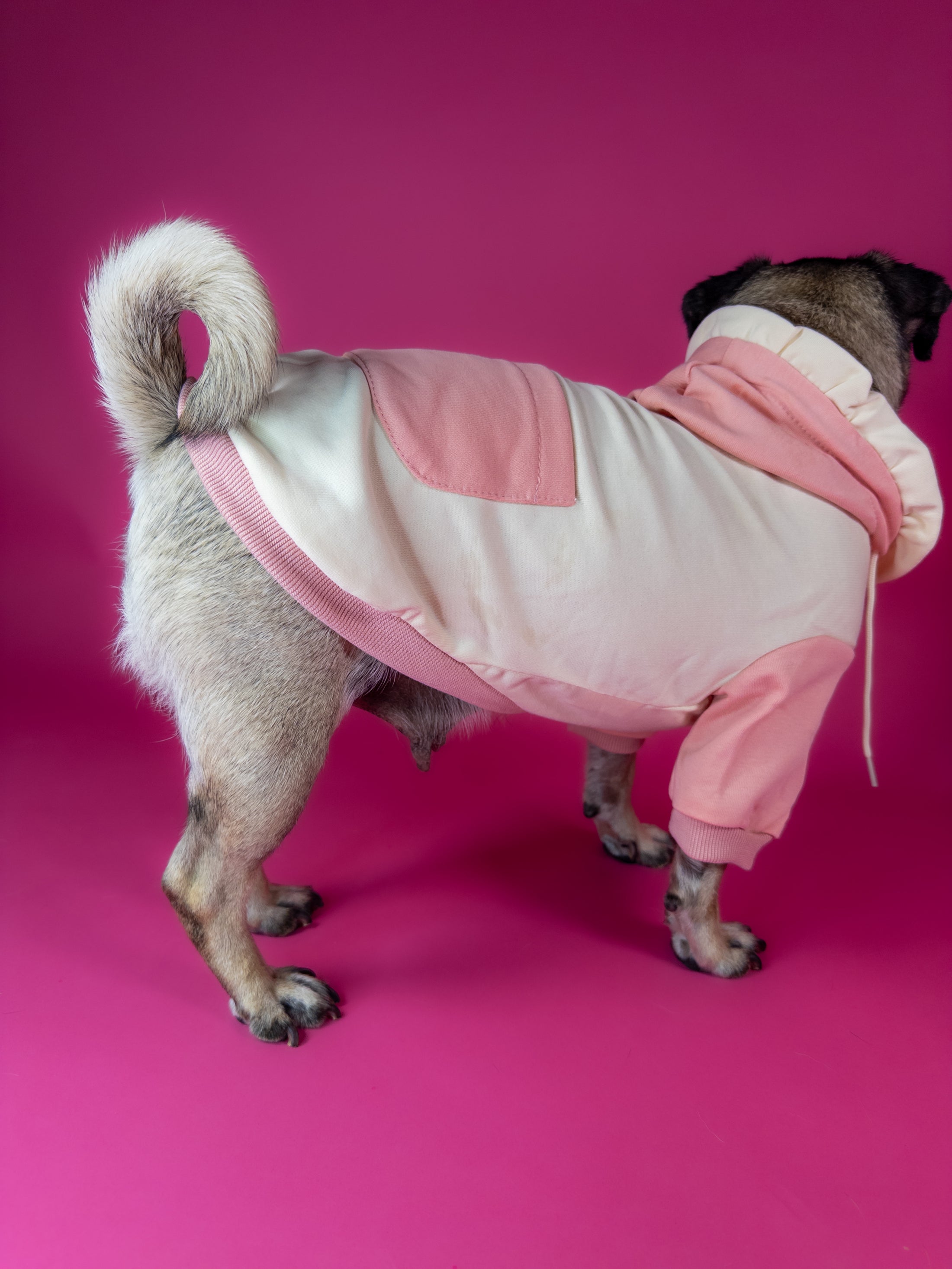 Premium dog hoodie in pink. Luxury dog accessories.