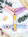 Bild in Galerie-Betrachter laden, Our DAYDREAMER HARNESS is a luxurious and stylish dog accessory in soft pastel colors. With a buckle in rose gold, this H harness is a pastel dream and an eye-catching dog accessory.
