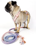 Bild in Galerie-Betrachter laden, Our DAYDREAMER HARNESS is a luxurious and stylish dog accessory in soft pastel colors. With a buckle in rose gold, this H harness is a pastel dream and an eye-catching dog accessory. Combine it with the DAYDREAMER LEASH for a perfect match.
