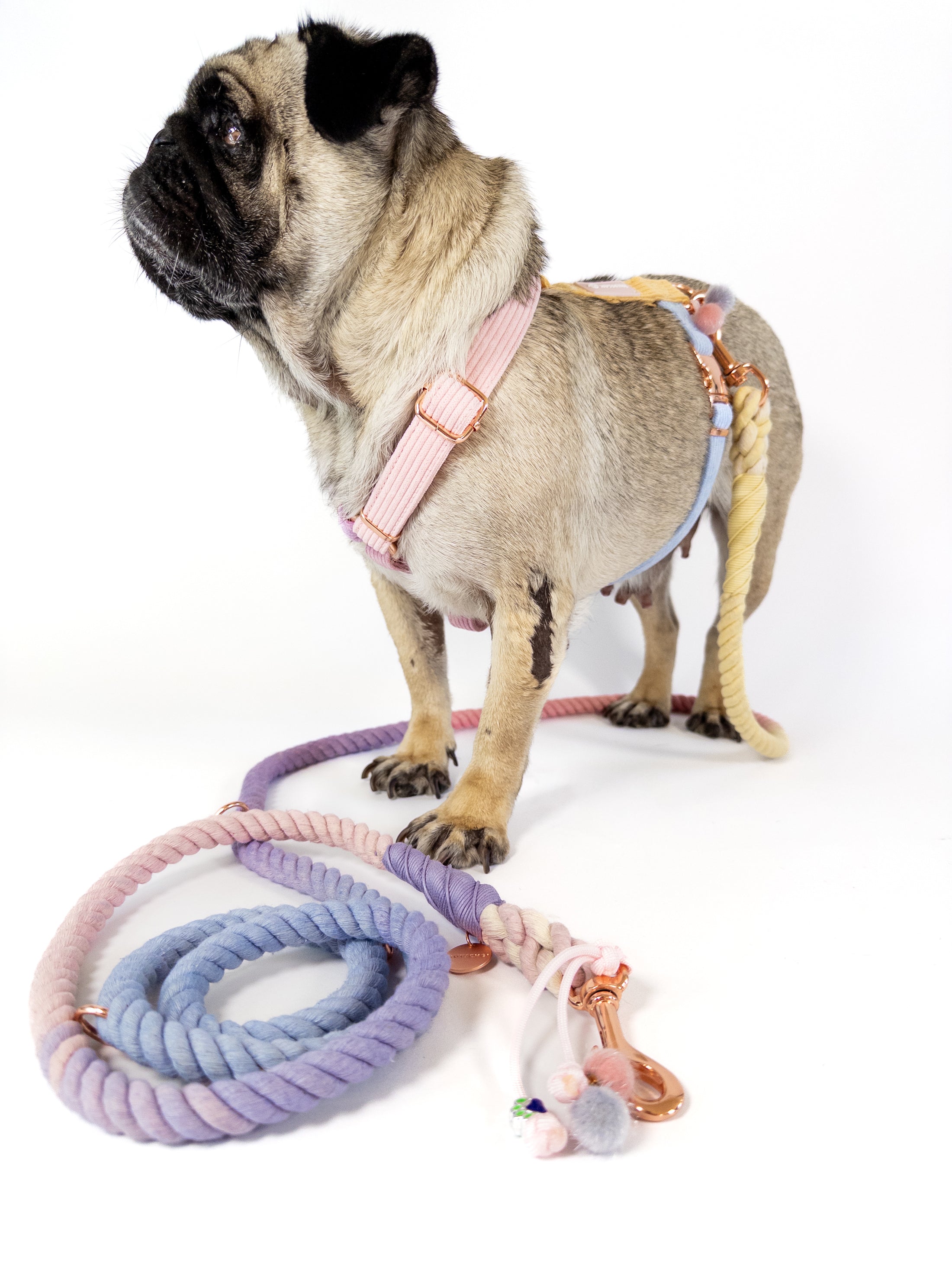 Our DAYDREAMER HARNESS is a luxurious and stylish dog accessory in soft pastel colors. With a buckle in rose gold, this H harness is a pastel dream and an eye-catching dog accessory. Combine it with the DAYDREAMER LEASH for a perfect match.