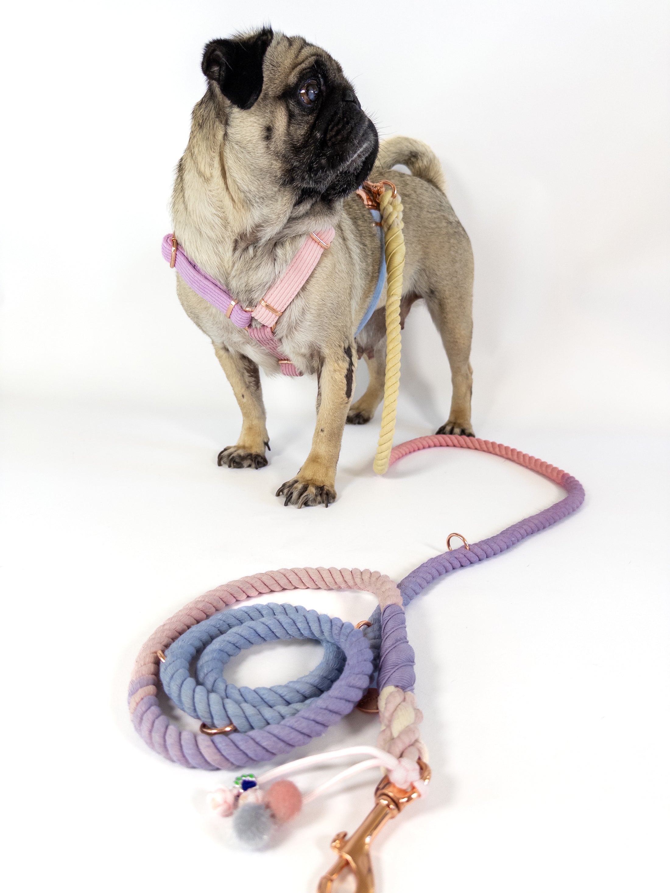 Our DAYDREAMER HARNESS is a luxurious and stylish dog accessory in soft pastel colors. With a buckle in rose gold, this H harness is a pastel dream and an eye-catching dog accessory. Combine it with the DAYDREAMER LEASH for a perfect match.