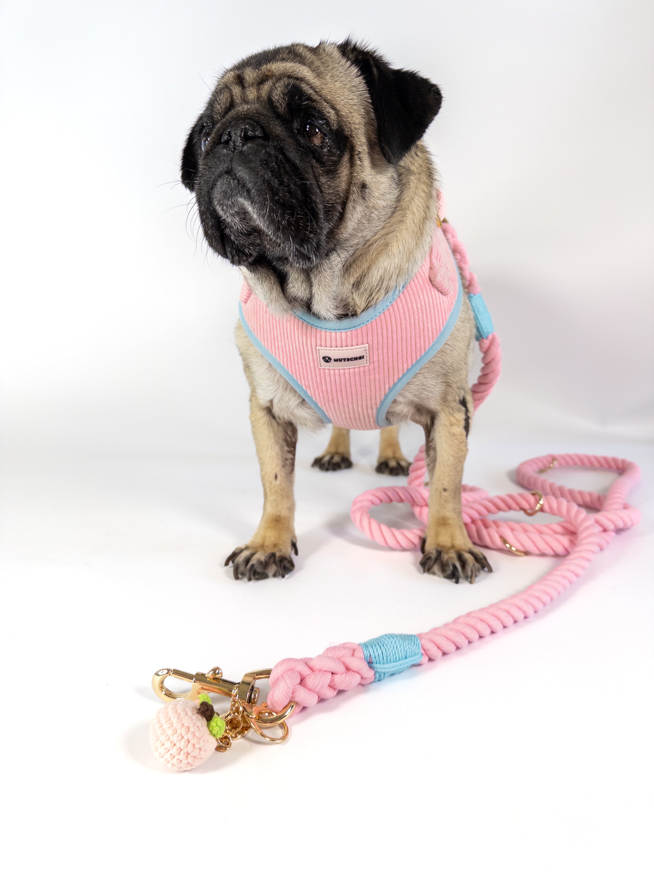 TAILWAGGER HARNESS