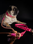 Bild in Galerie-Betrachter laden, PINK BOSS LEASH
