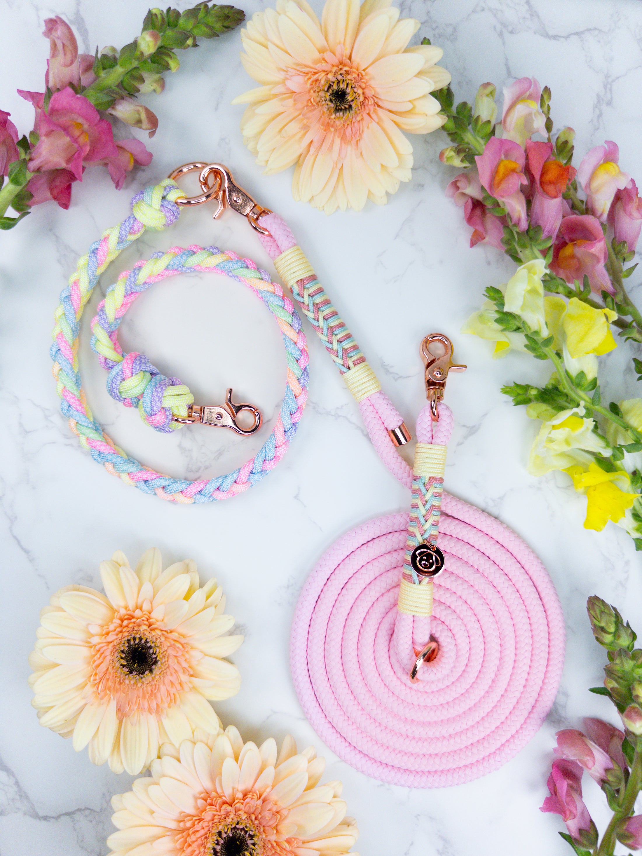 STRAWBERRY DREAM LEASH